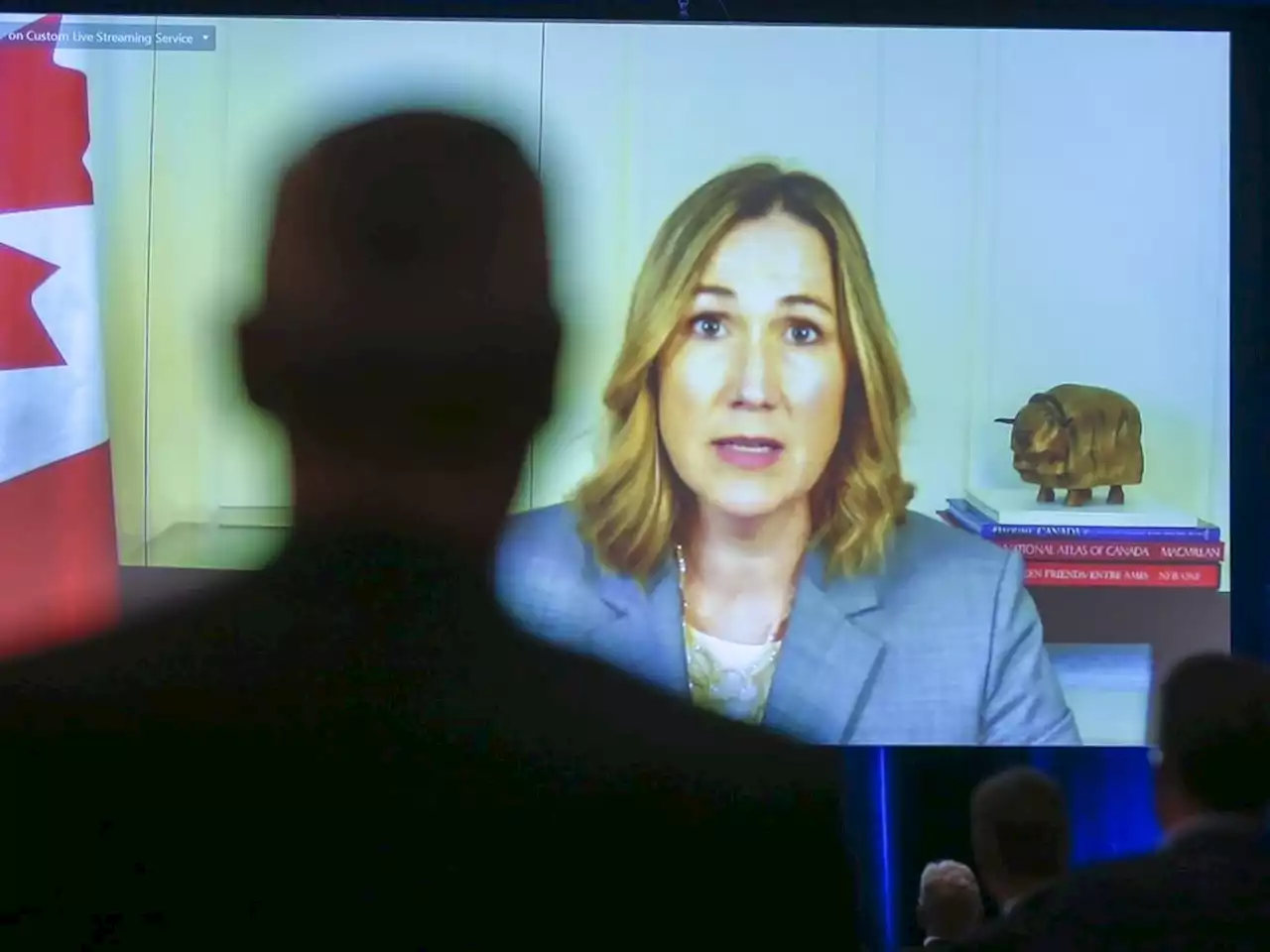 U.S. holding Nexus trusted-traveller program 'hostage,' Canadian envoy says