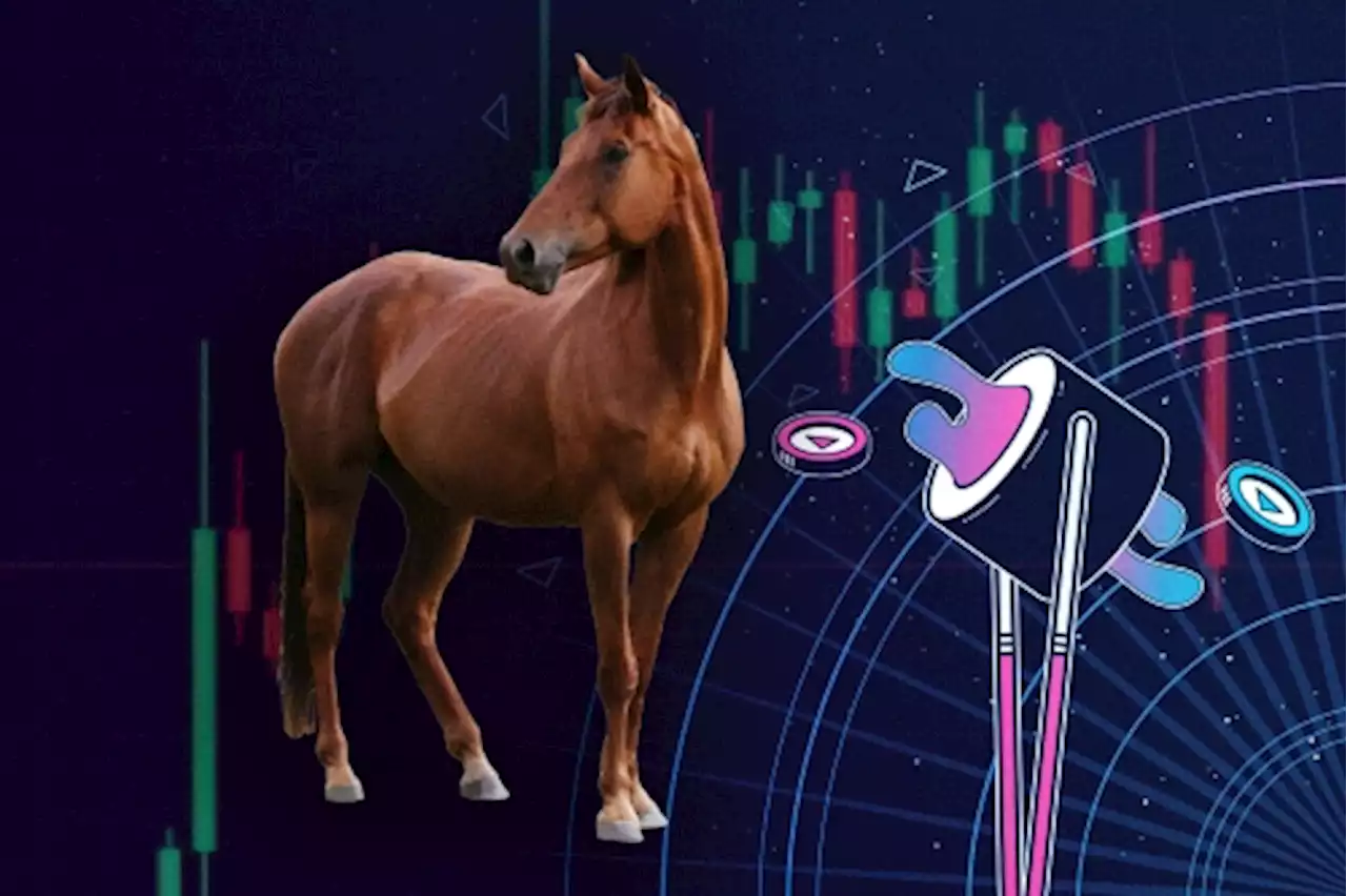 How a Horse Molestation Joke Set the Crypto World on Fire