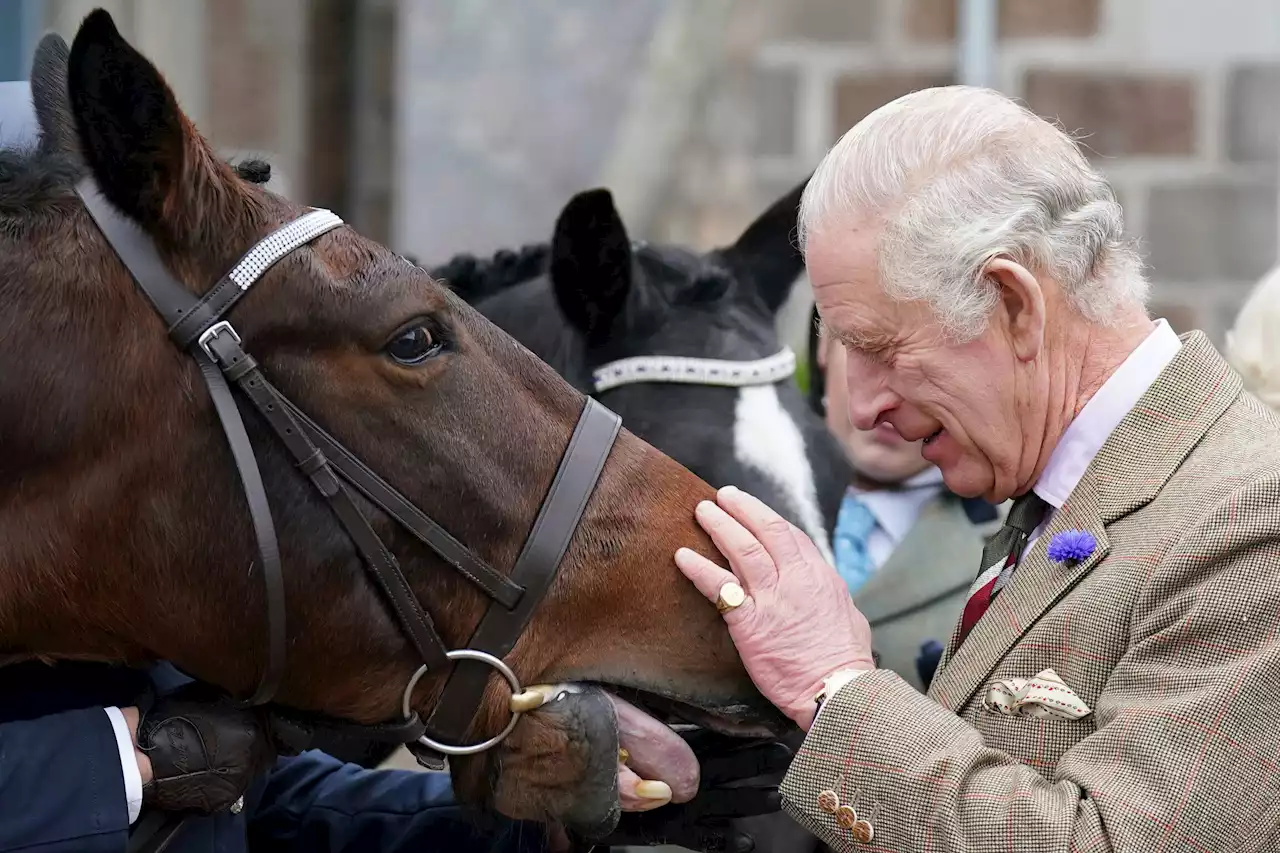 King Charles III to Be Crowned May 6 Next Year, Palace Says