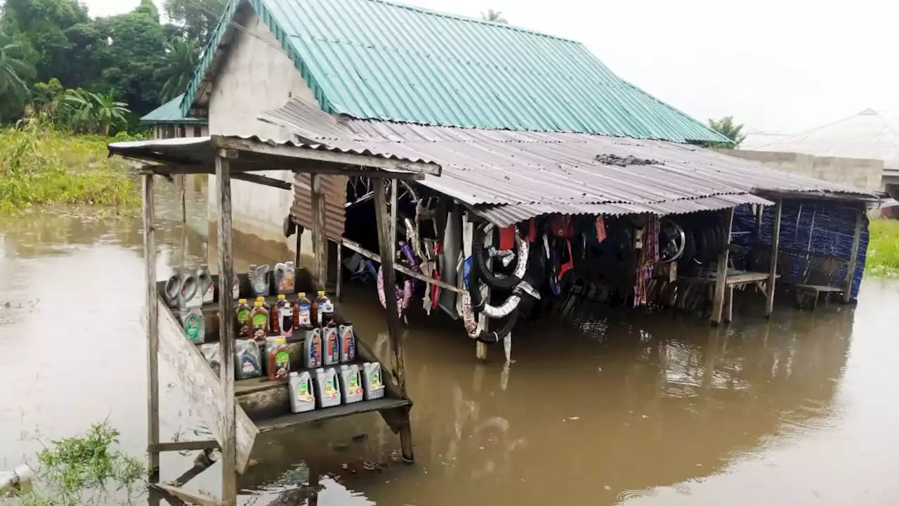 Rund 500 Tote durch Überschwemmungen in Nigeria