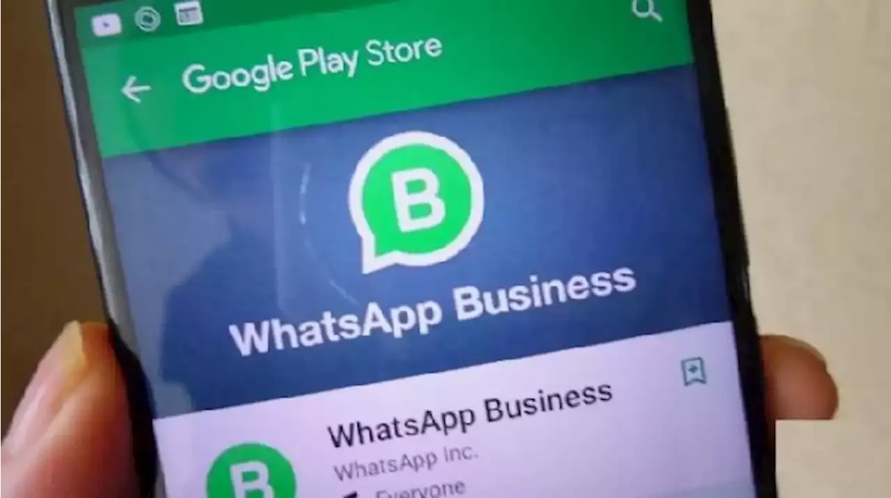 Ini Perbedaan WhatsApp Biasa Dengan WhatsApp Premium Untuk Bisnis