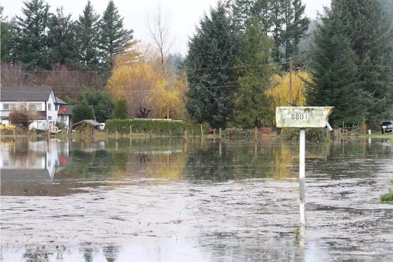 B.C. communities warned to prepare for flooding when rain hits drought-ridden areas – Terrace Standard