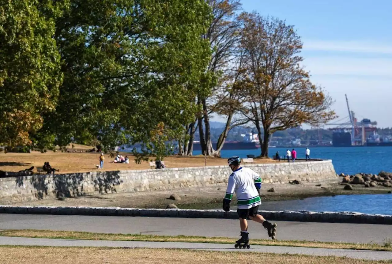 Drought and moths push the trees of Vancouver’s Stanley Park to the brink – Terrace Standard