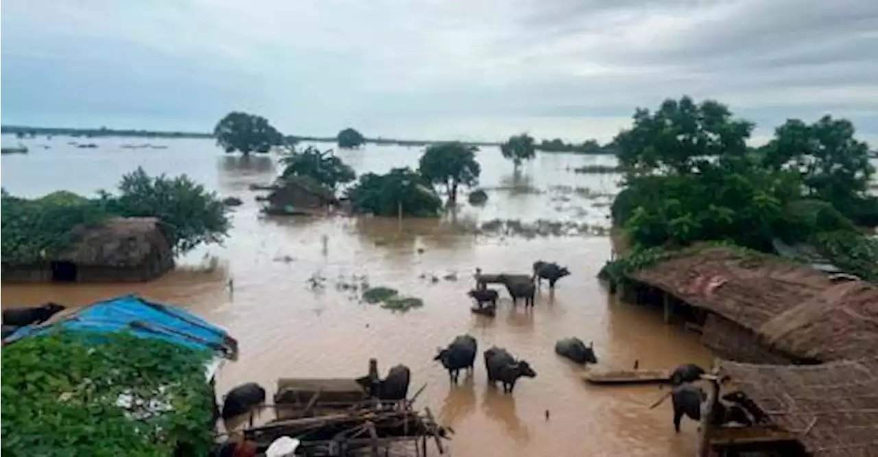 Floods, landslides kill 48 in Nepal