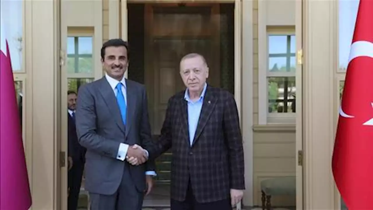 Qatar's Al Thani visit to Türkiye bears great importance: Altun