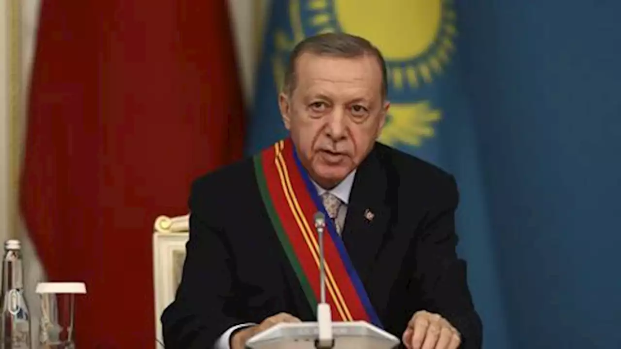 Türkiye's aim is to stop bloodshed in Russia-Ukraine conflict: Erdogan