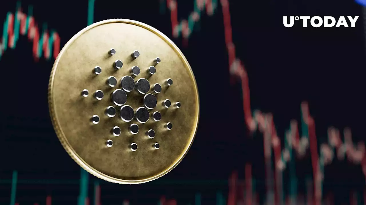 Cardano (ADA) Price at Risk of 30% Drop, Here's Why