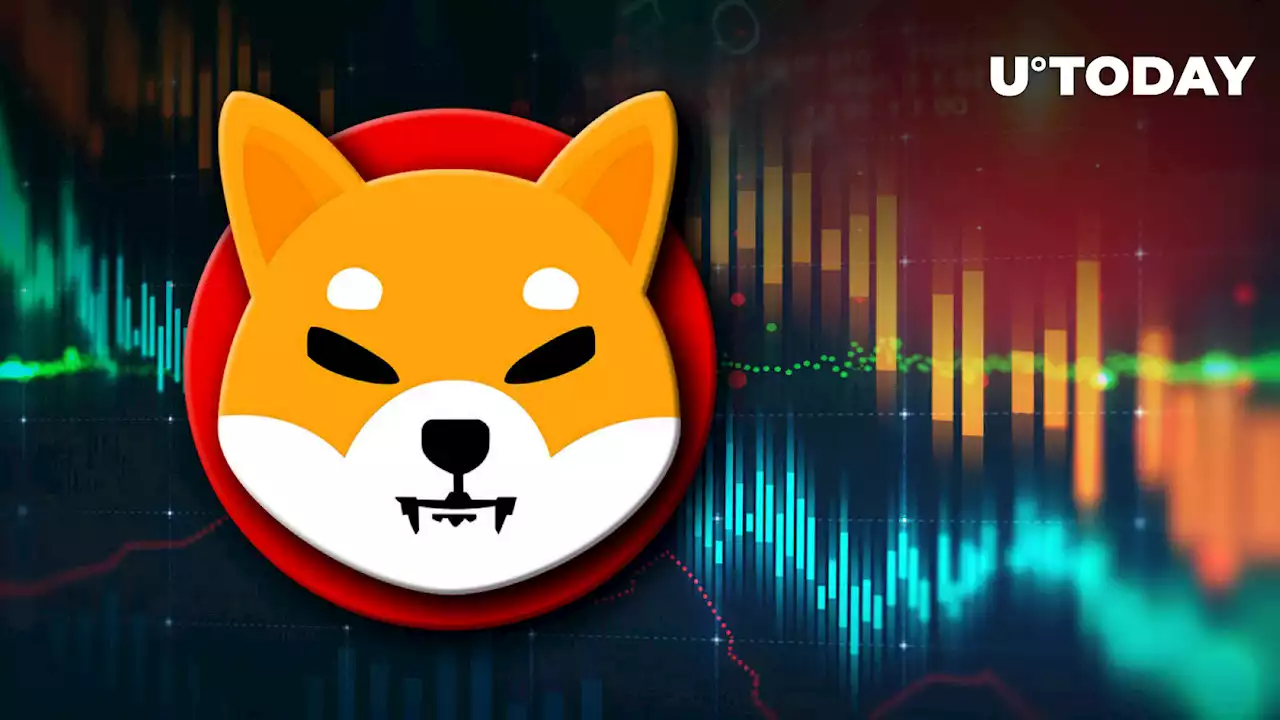 Shiba Inu (SHIB) 12% Price Nosedive Is Actually Good Thing, Here's Why