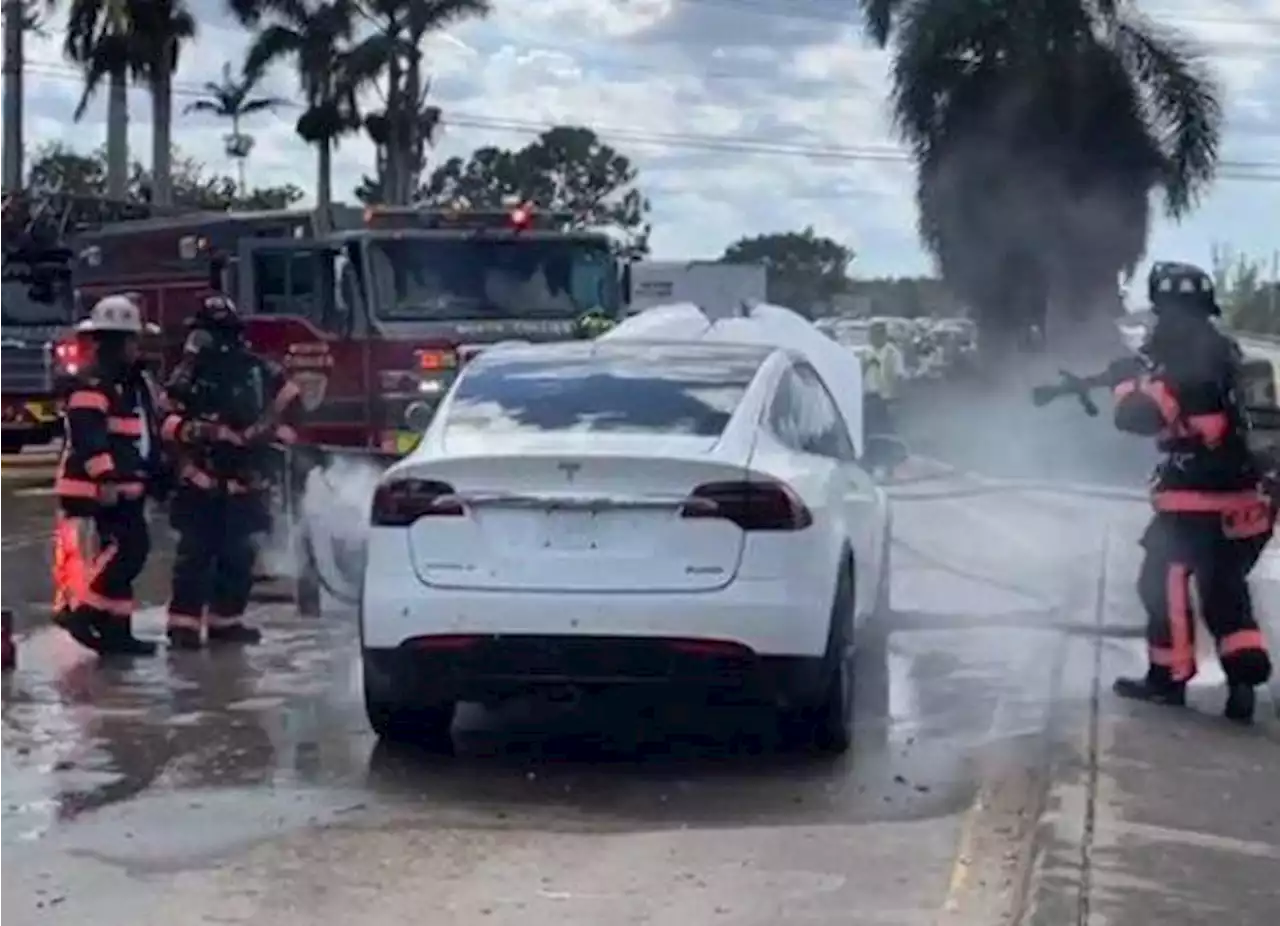 Se incendian decenas de coches eléctricos sin causa aparente, en EU