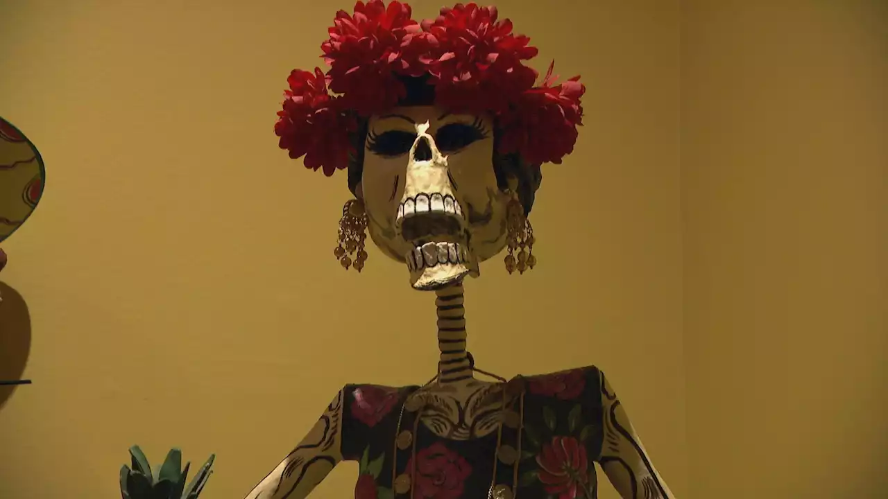 Art of Remembrance Celebrates Day of the Dead at Pilsen Museum