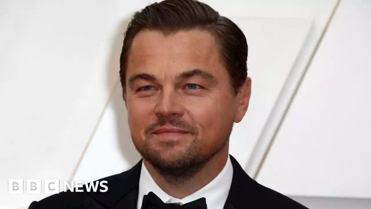 Leonardo DiCaprio praises work of East Midlands osprey team