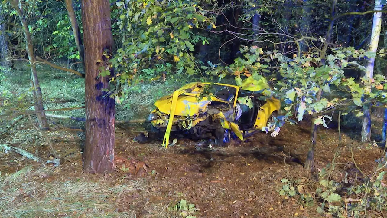 Auto landet im Wald – Fahrer eingeklemmt und schwer verletzt