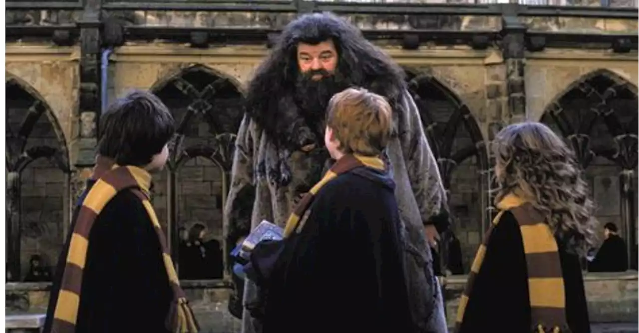 Harry Potter's Daniel Radcliffe Pays Tribute to Late Hagrid Actor Robbie Coltrane