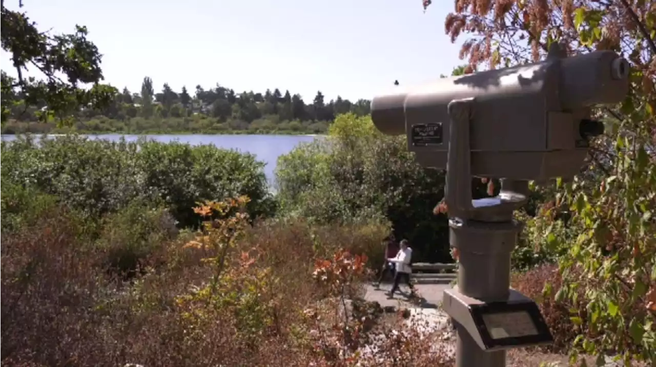 'No risk to the public' after body discovered near Saanich nature sanctuary