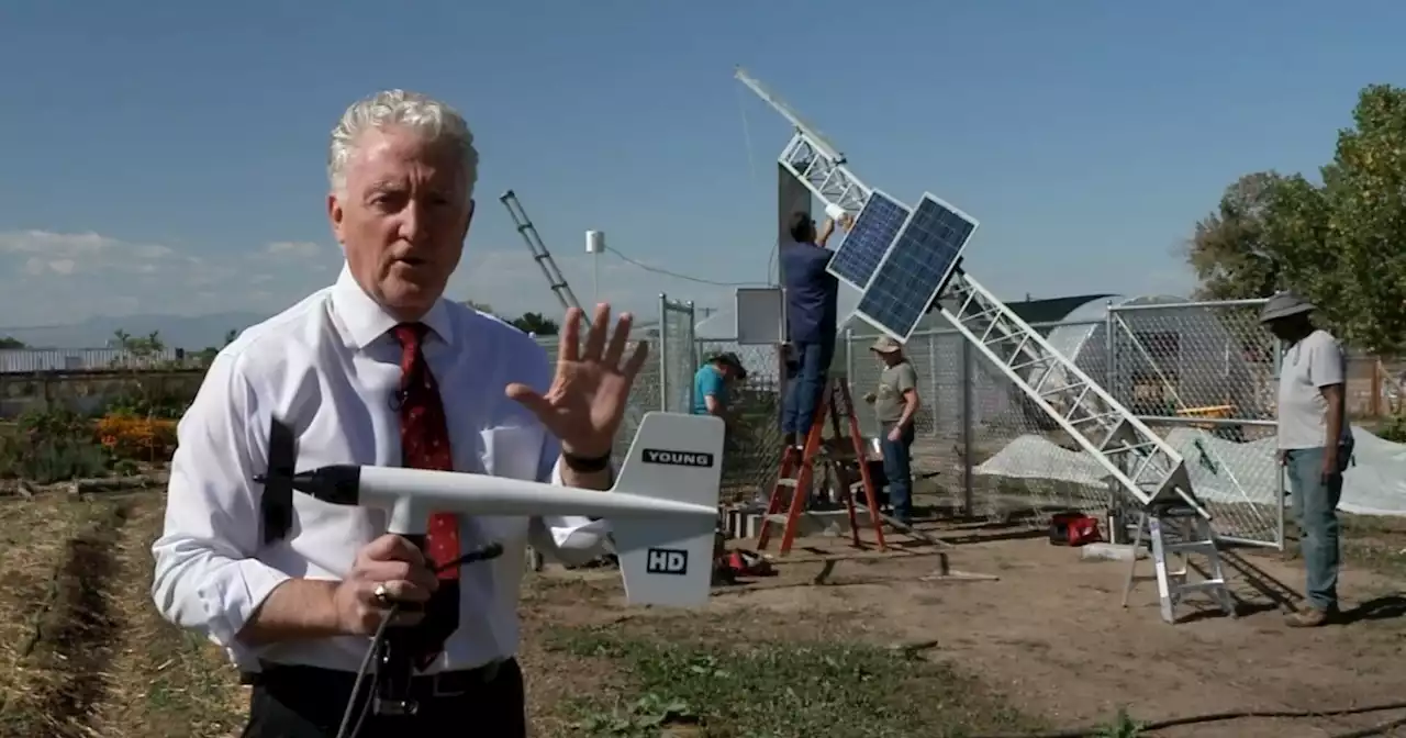 New Denver Central Park weather station will soon be up and running