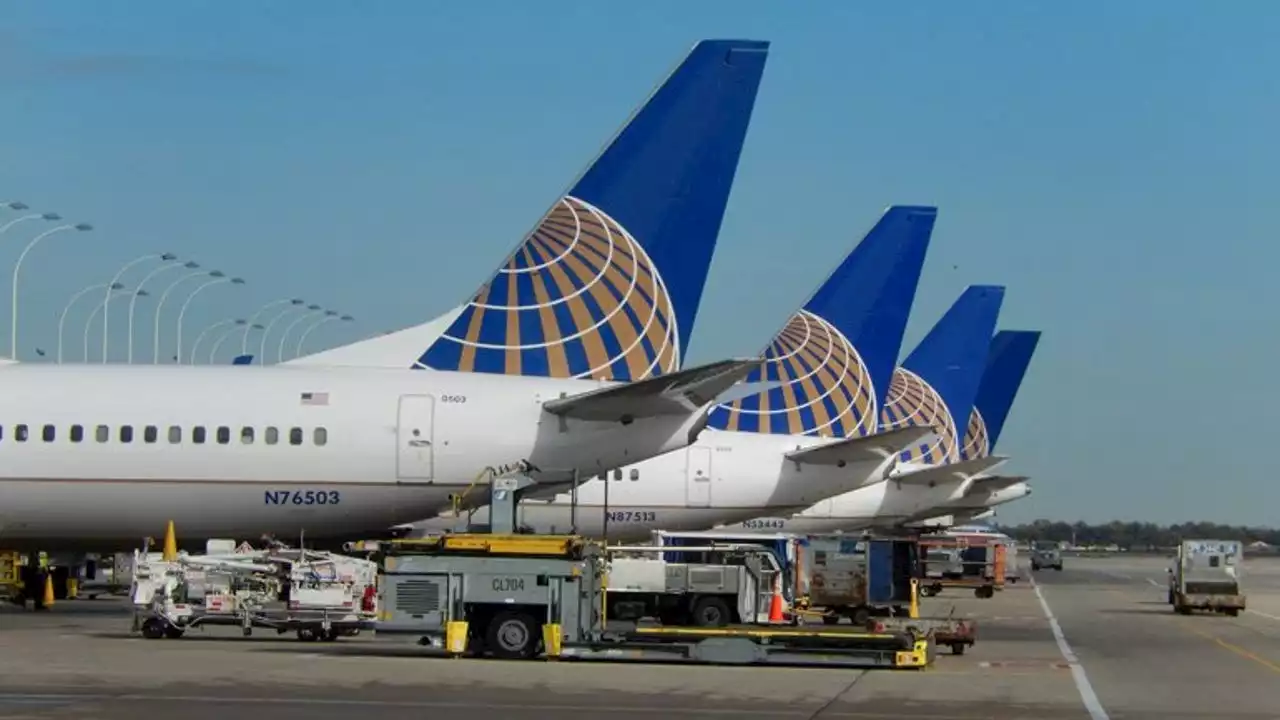 Plane forced to land after experiencing bird strike while taking off from O'Hare