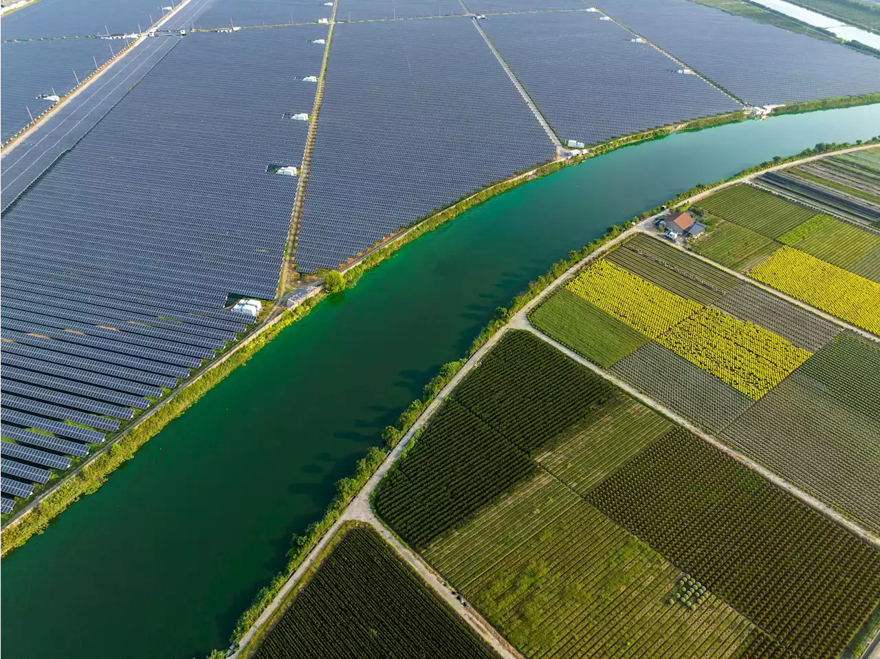 Erneuerbare Energien – Wie man direkt in Solar- und Windparks investiert