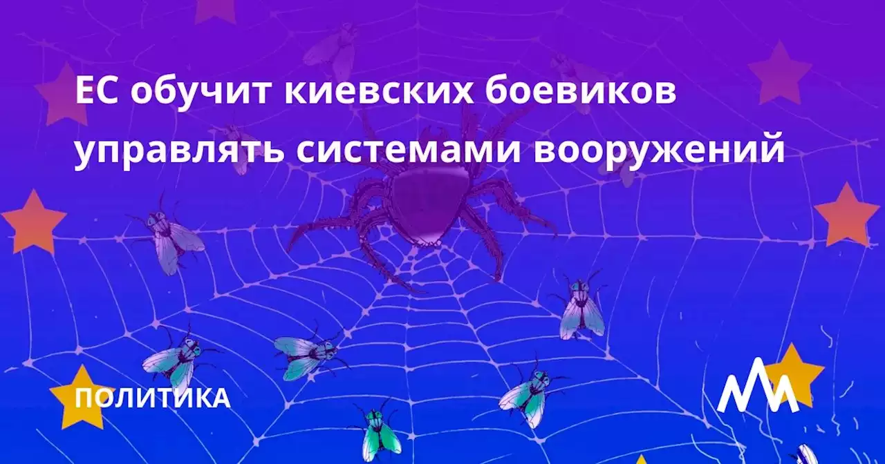 ЕС обучит киевских боевиков управлять системами вооружений