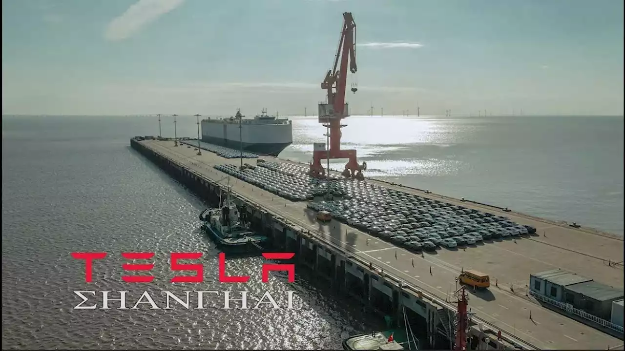 Potential Tesla Record: Over 10,500 EVs At Shanghai Port For Export