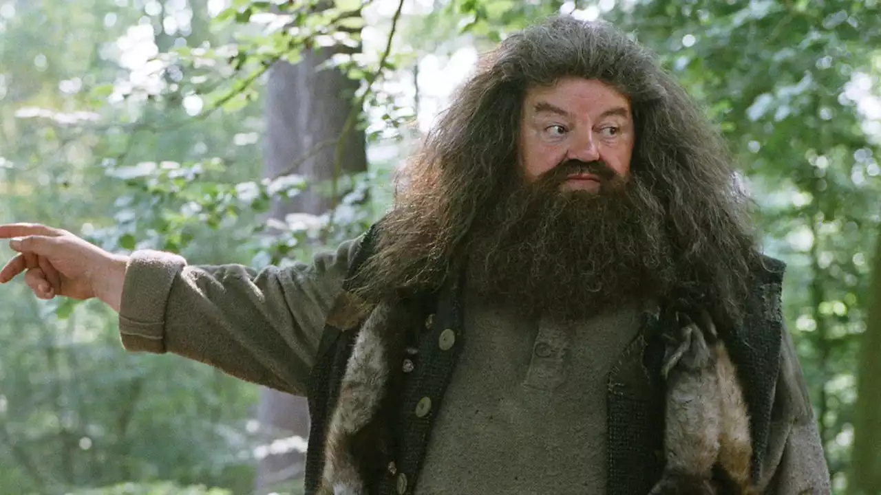 Robbie Coltrane, actor best known as Hagrid in 'Harry Potter' films, dies at 72