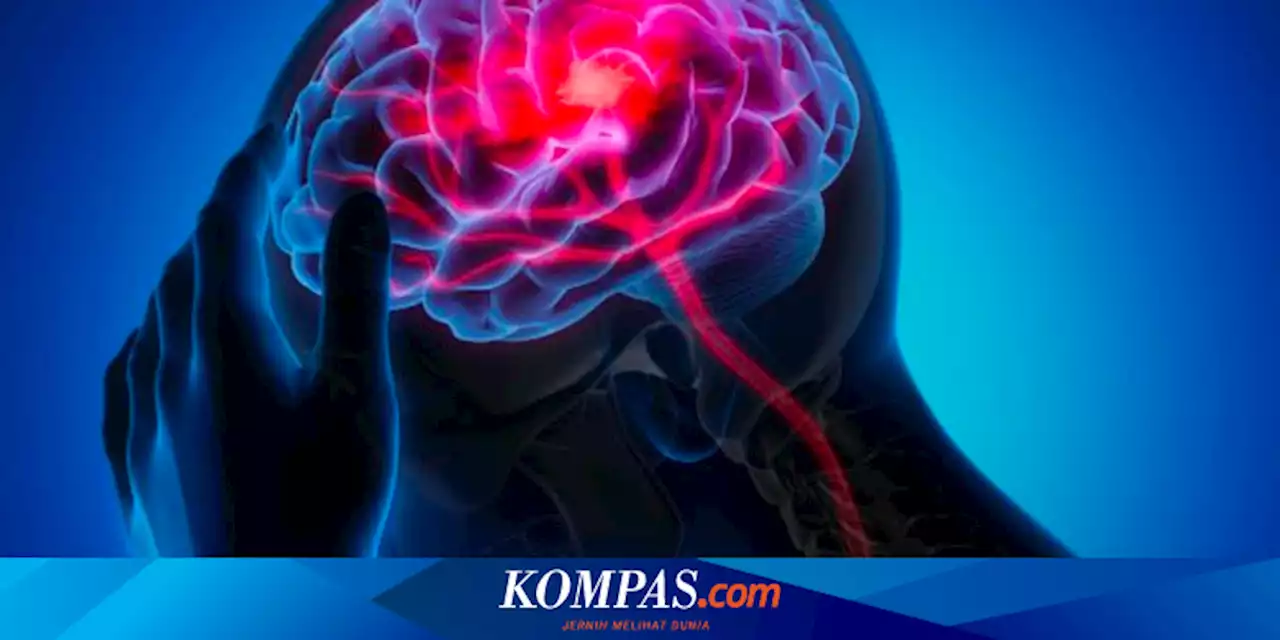 5 Hal yang Bisa Menurunkan IQ, Sebaiknya Hindari dari Sekarang