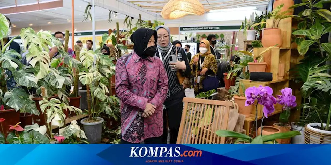 Menteri Risma Dorong Hobi Tanaman Hias Dapat Dongkrak Perekonomian