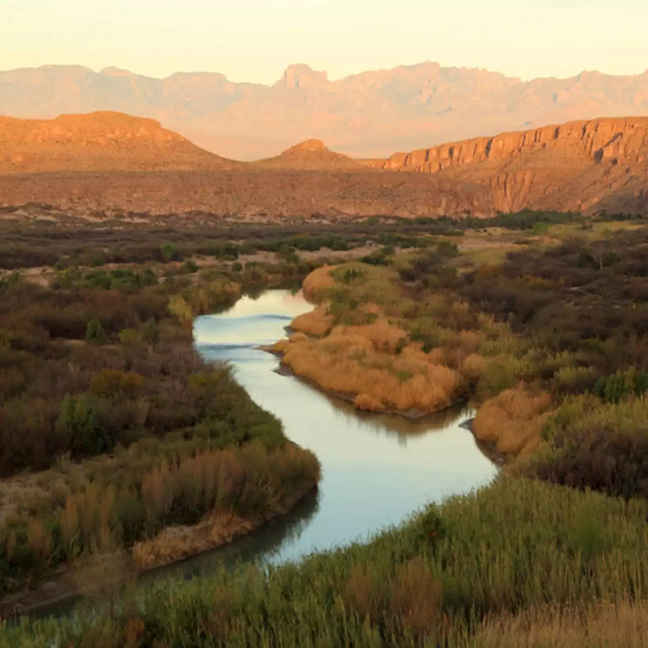 Borderland Research Institute works to conserve Texas' last frontier - KRLD News