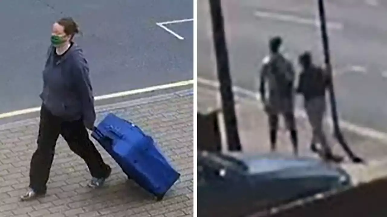 Moment property developer, 38, caught on CCTV 'dragging bulky suitcase around London containing body of pensioner'