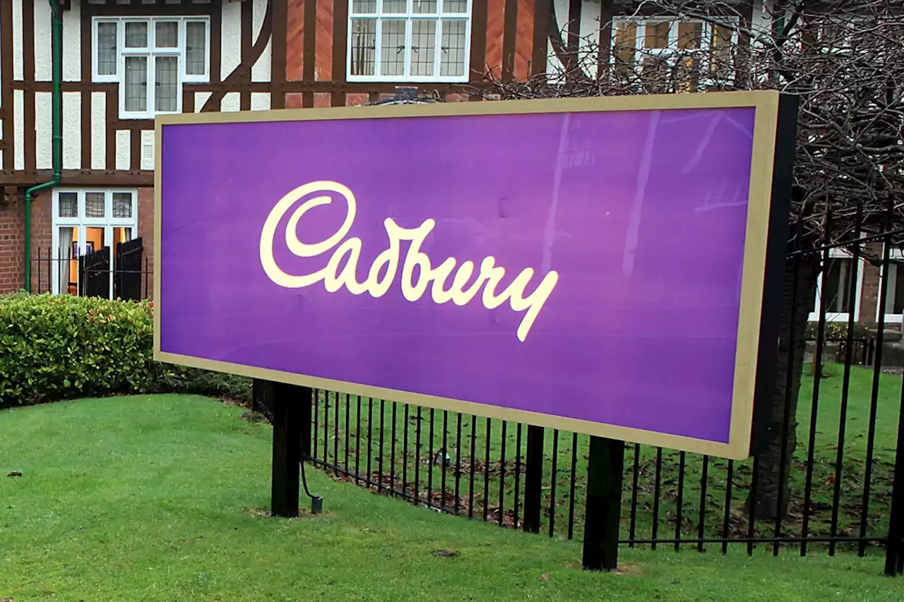 Cadbury announces flavour of two Mystery Chocolate Bars - here’s what they are