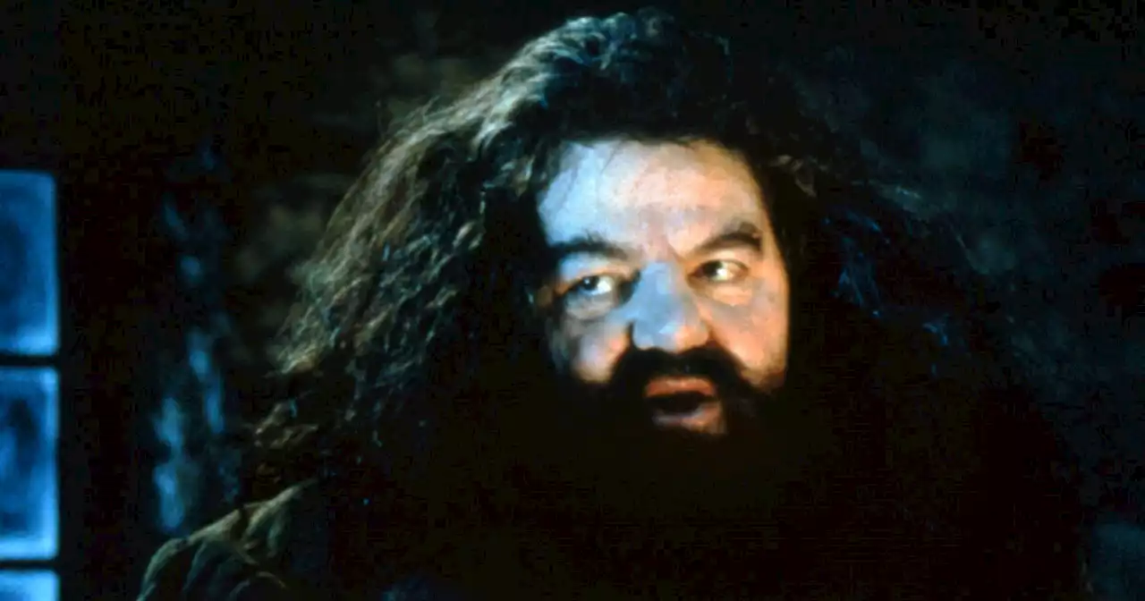 Robbie Coltrane, connu pour avoir incarné Hagrid dans Harry Potter, est mort à 72 ans