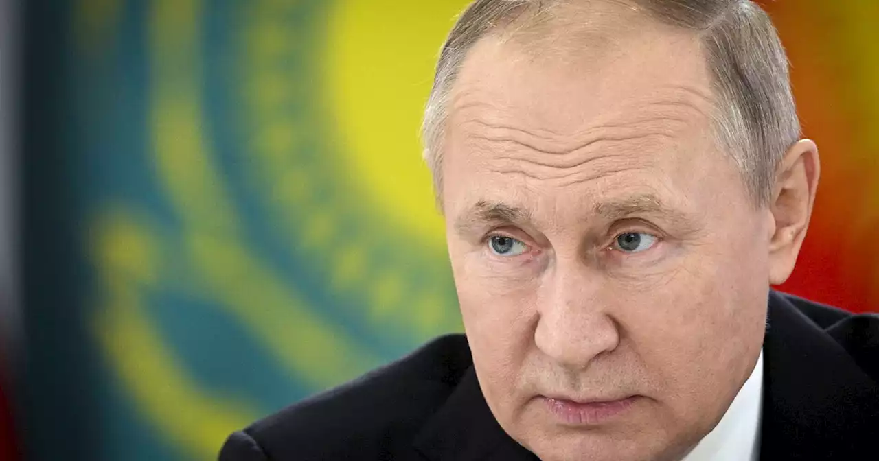 Vladimir Putin, 'entro due settimane': la guerra sta per finire?