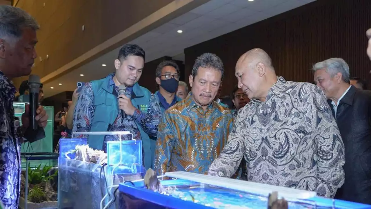 Pasar Ikan Hias Diramal USD 8,6 Miliar di 2028, UMKM Harus Ambil Bagian