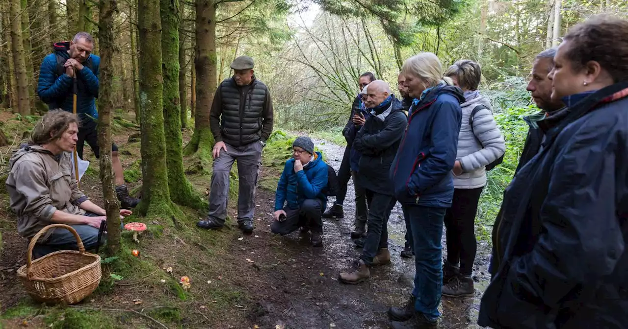 Eight Lancs areas you can forage your own ingredients to make amazing food