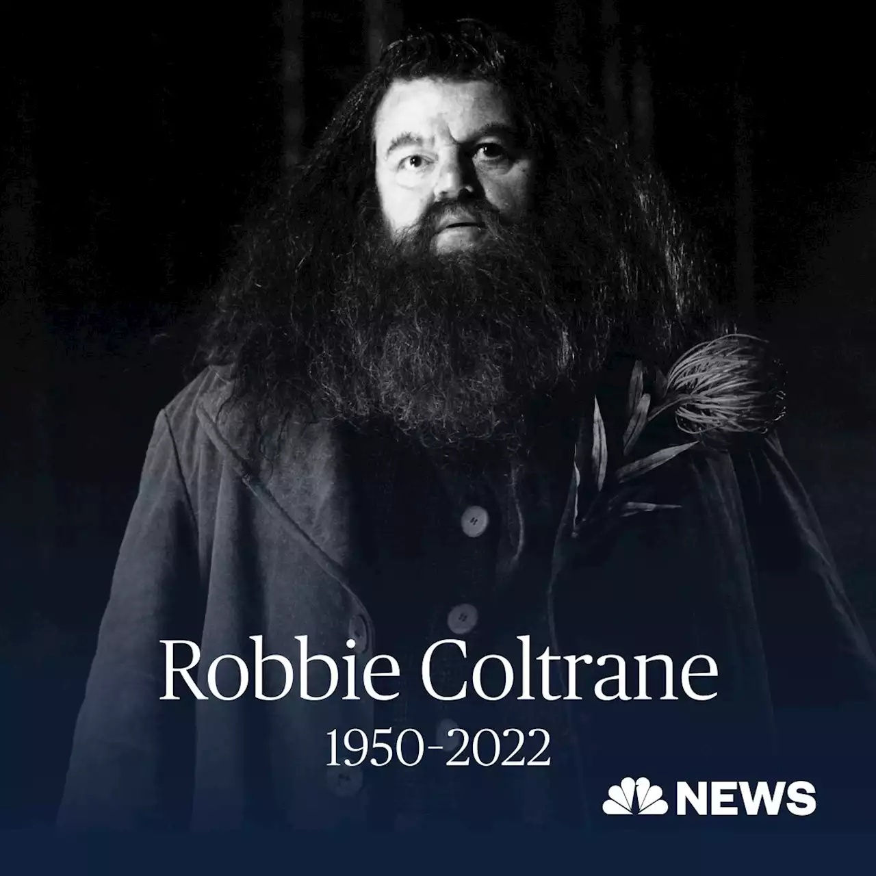 Robbie Coltrane, actor who played the beloved Hagrid in the Harry Potter films, dies at 72