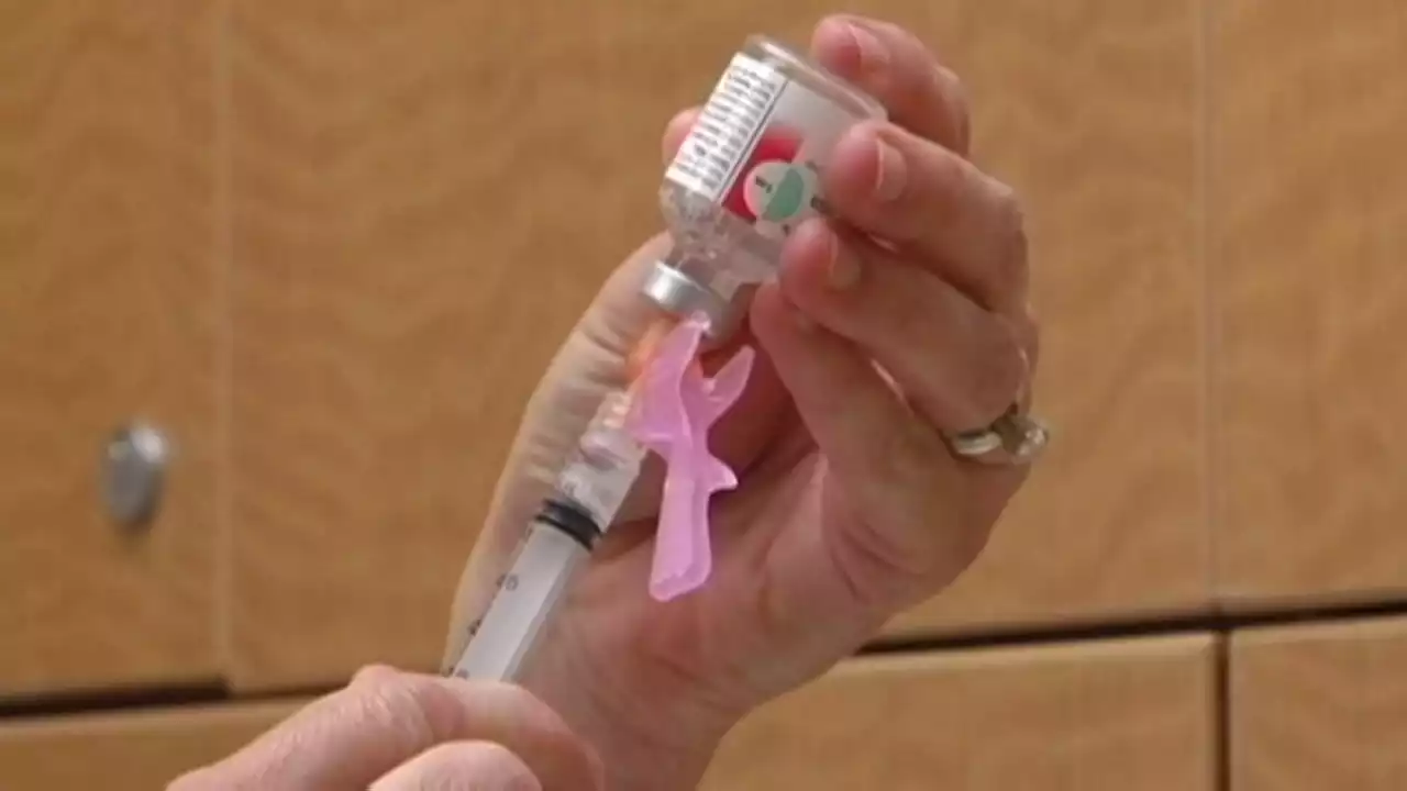 Seasonal Flu on the Rise in San Diego County: Health Officials