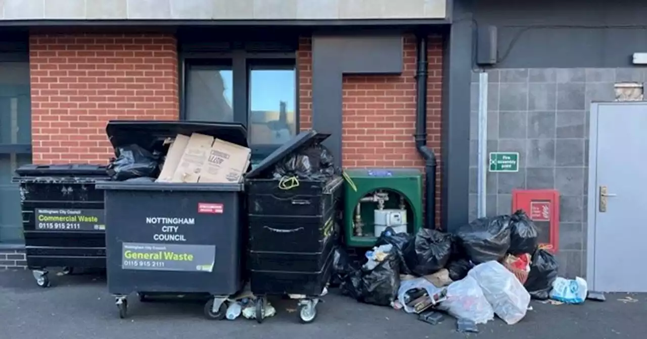 Staff scared to leave building over 'severe vermin infestation'