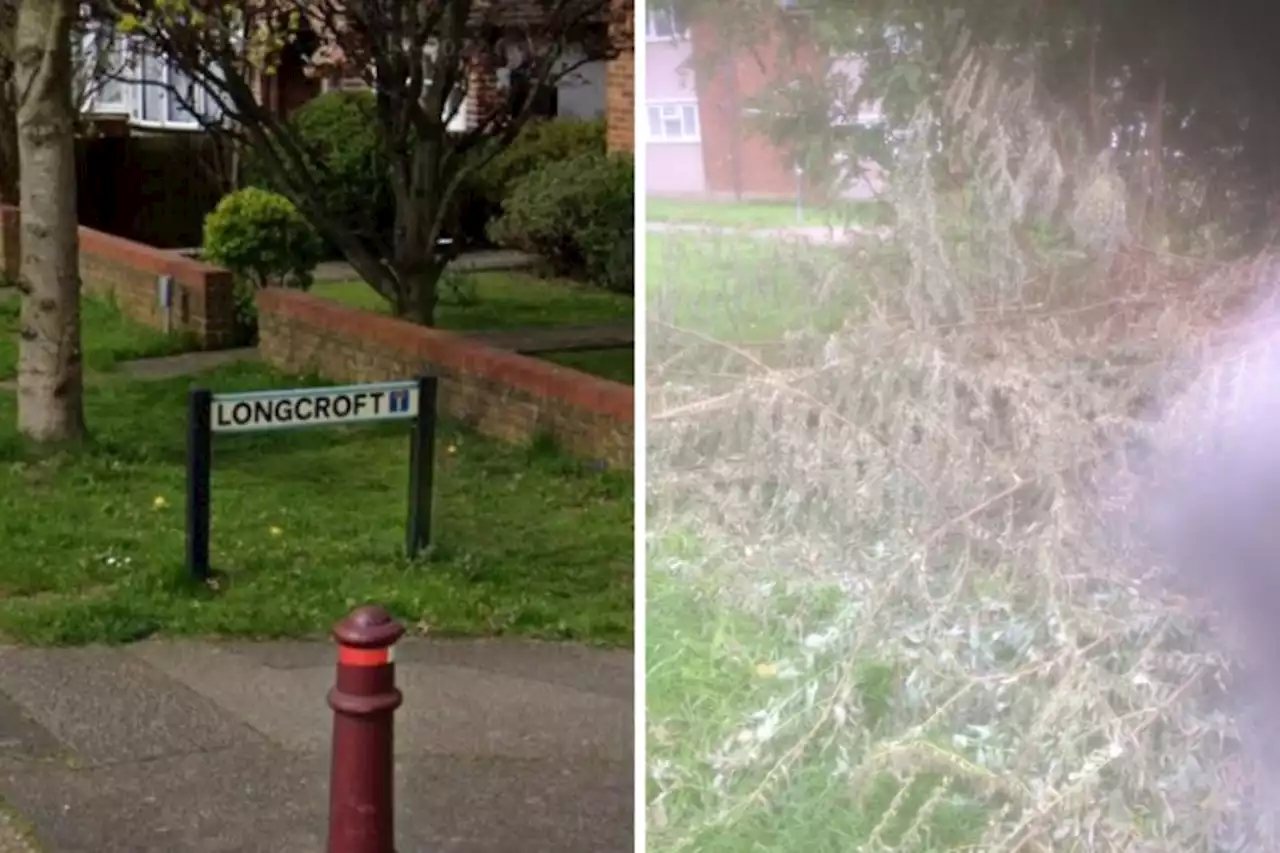 Vandalism continues in 'ASB and drugs hotspot'