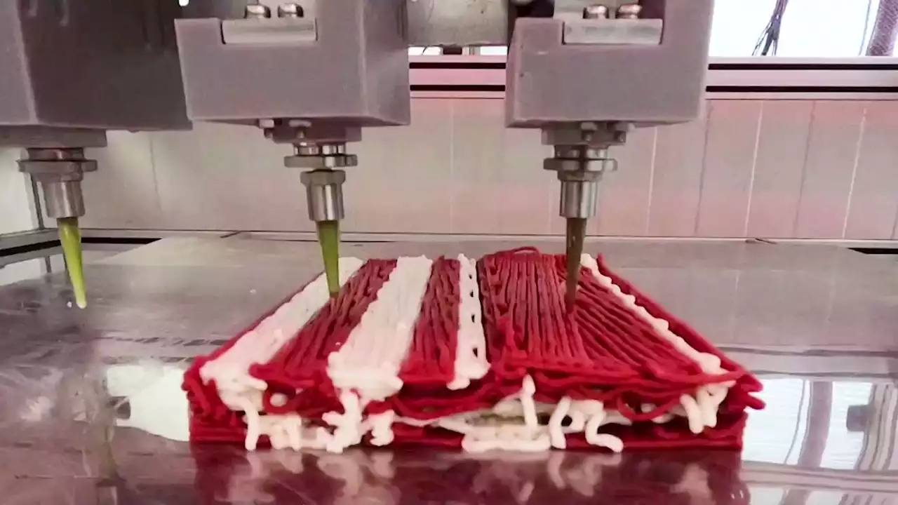 Redefine Meat strikes partnership to boost 3D-printed meat sales in Europe