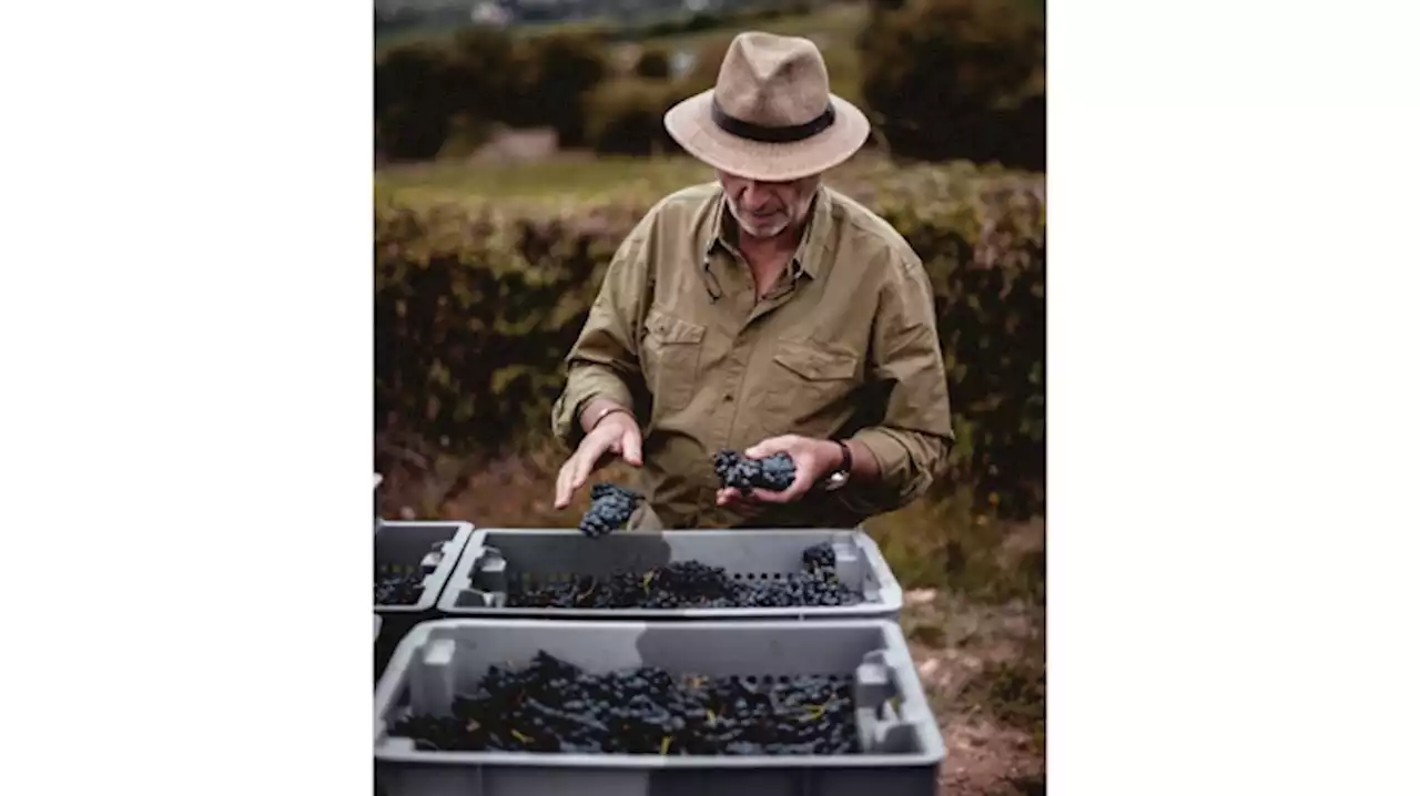 Why Veuve Cliquot’s Former CEO Left to Make His Own Wine in a Sleepy Corner of Burgundy