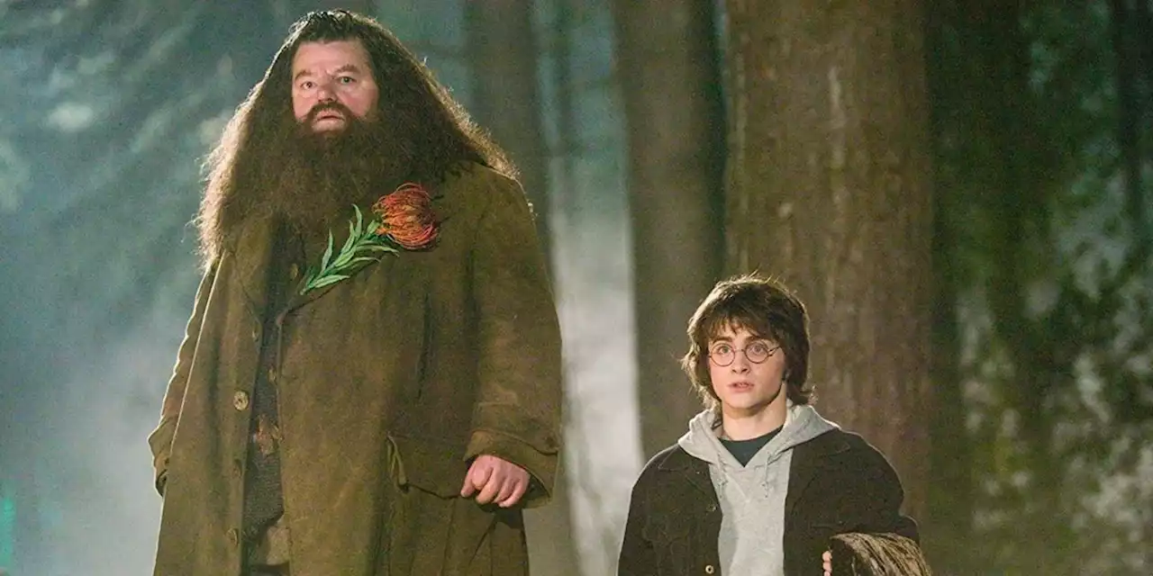 Harry Potter Lead Daniel Radcliffe Pays Tribute To Robbie Coltrane