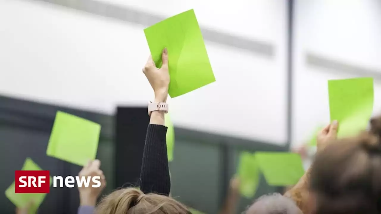 Bundesratswahl - Maurer-Nachfolge: das Dilemma der Grünen