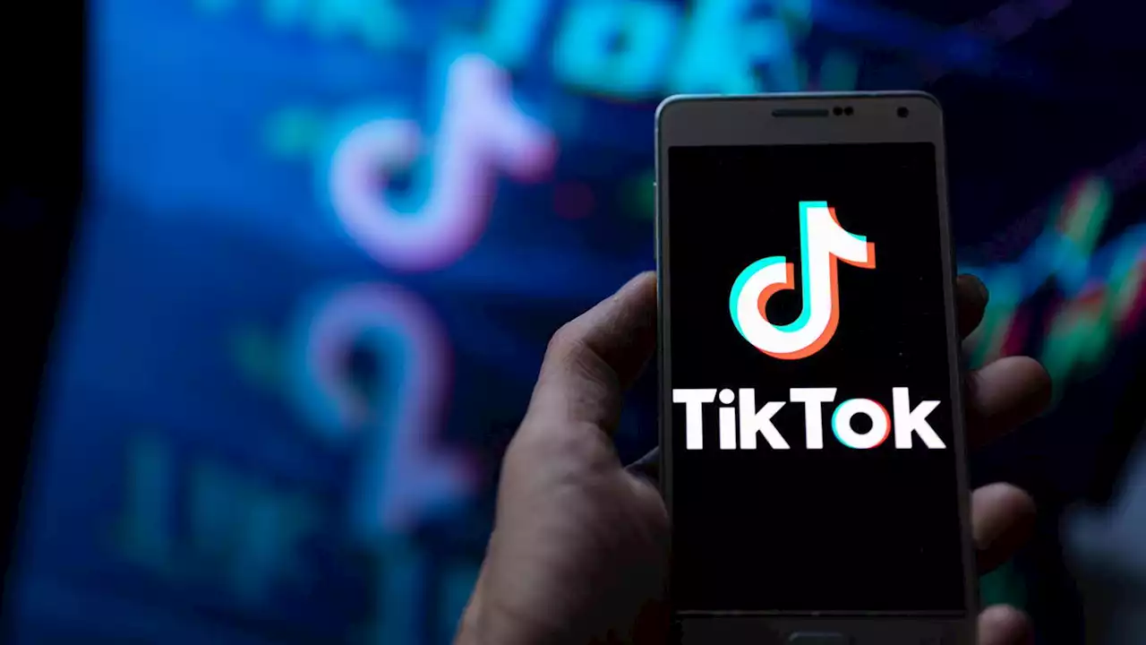 TikTok soll von Livestreams geflüchteter Familien vor allem selbst finanziell profitiert haben