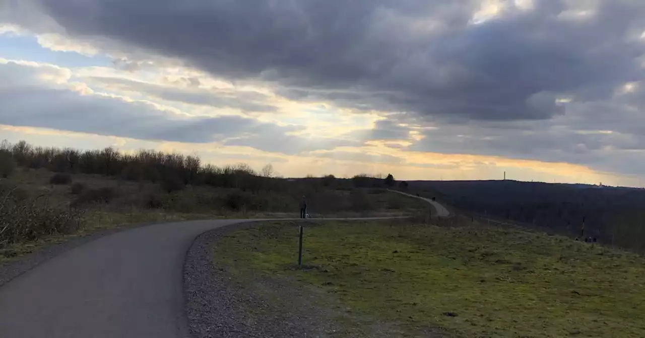 Streit um geplante Zufahrtsstraße: Artenreichtum auf der Halde Reden: Umweltverbände werfen Gemeinde Schiffweiler „mangelnde Sensibilität“ vor