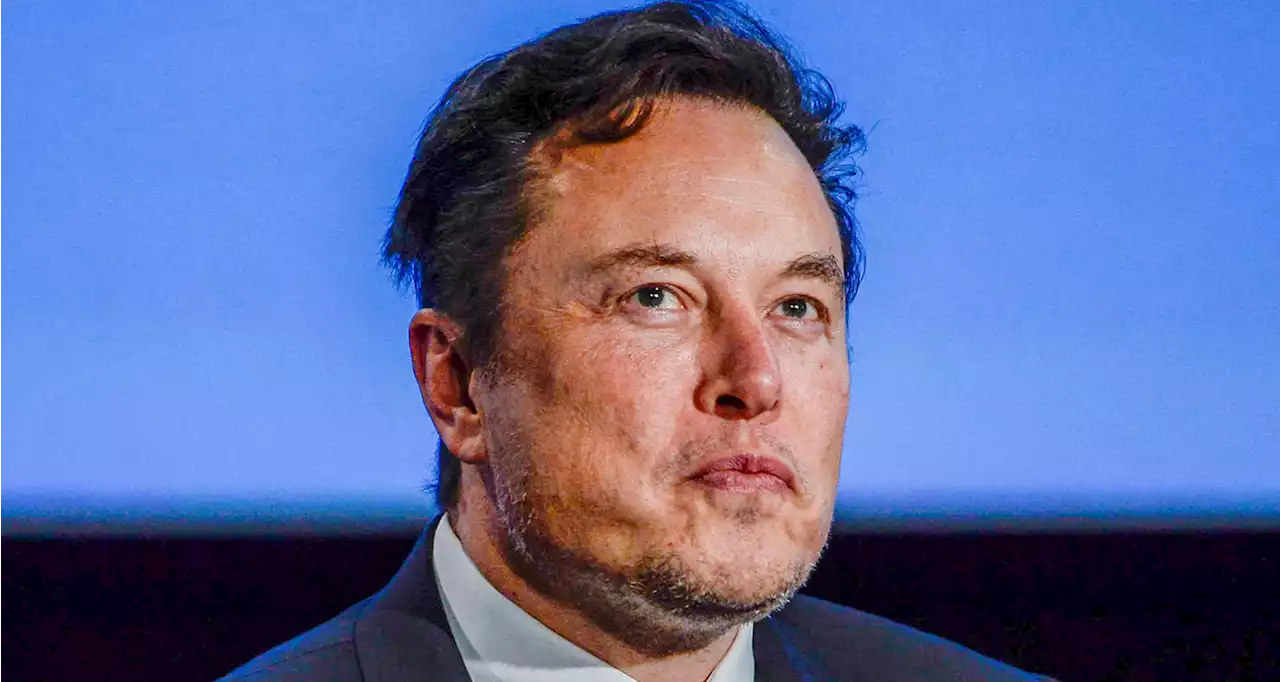 Elon Musk is under federal investigation, Twitter claims