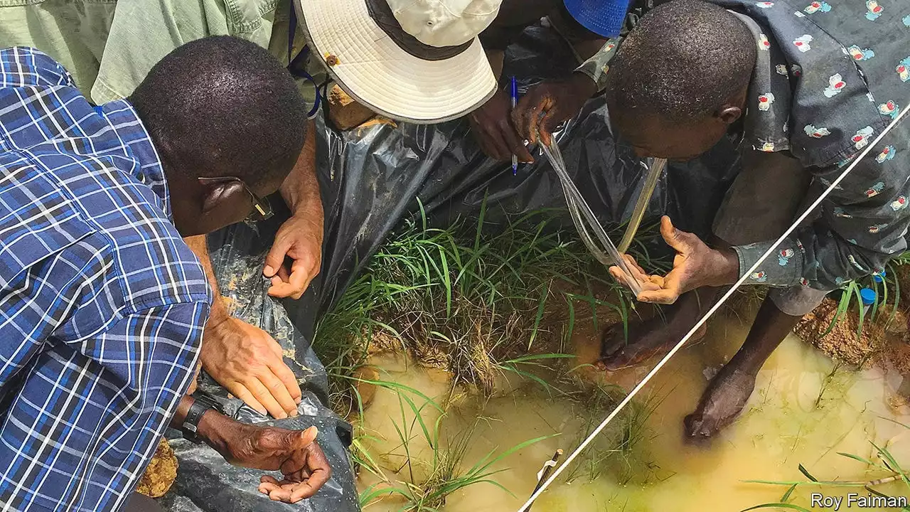 The dry-season malaria paradox, a bar to eradication, is solved