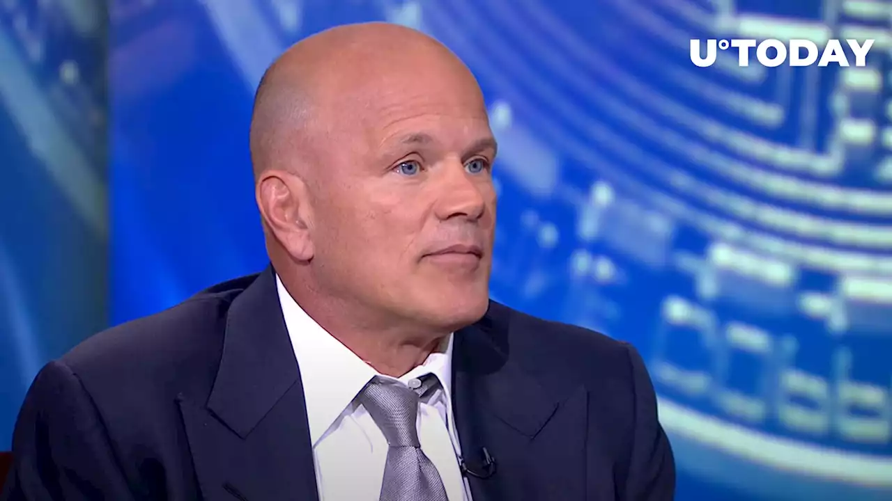 Mike Novogratz Wants Crypto Bulls to Temper Their Expectations