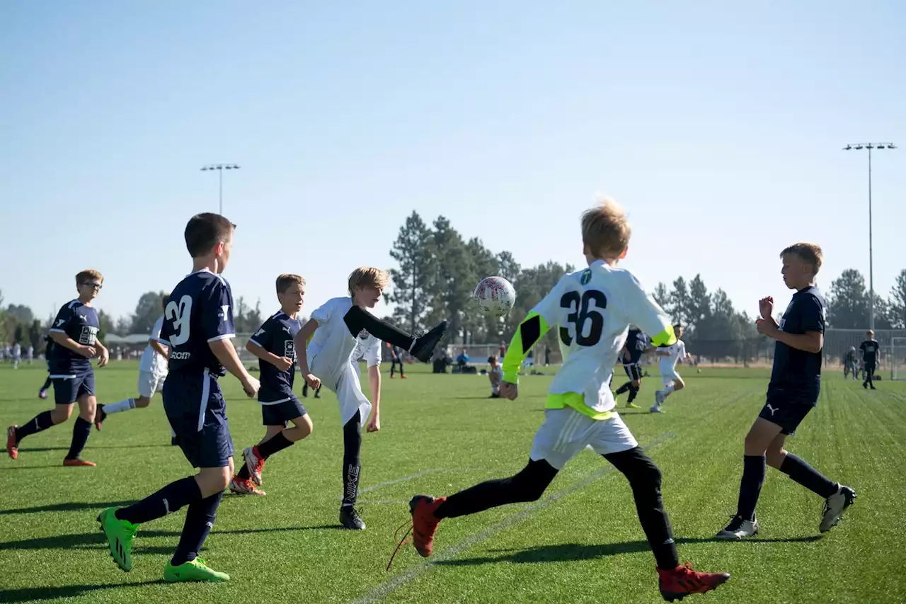 Billions flow through youth sports. And some of it keeps disappearing.