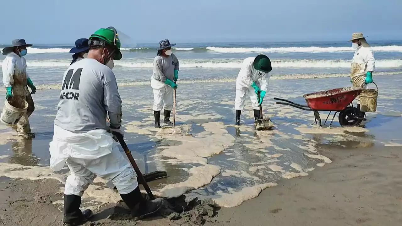 Brookfield Zoo Researchers Honored for Work in Oil Spill Recovery Efforts