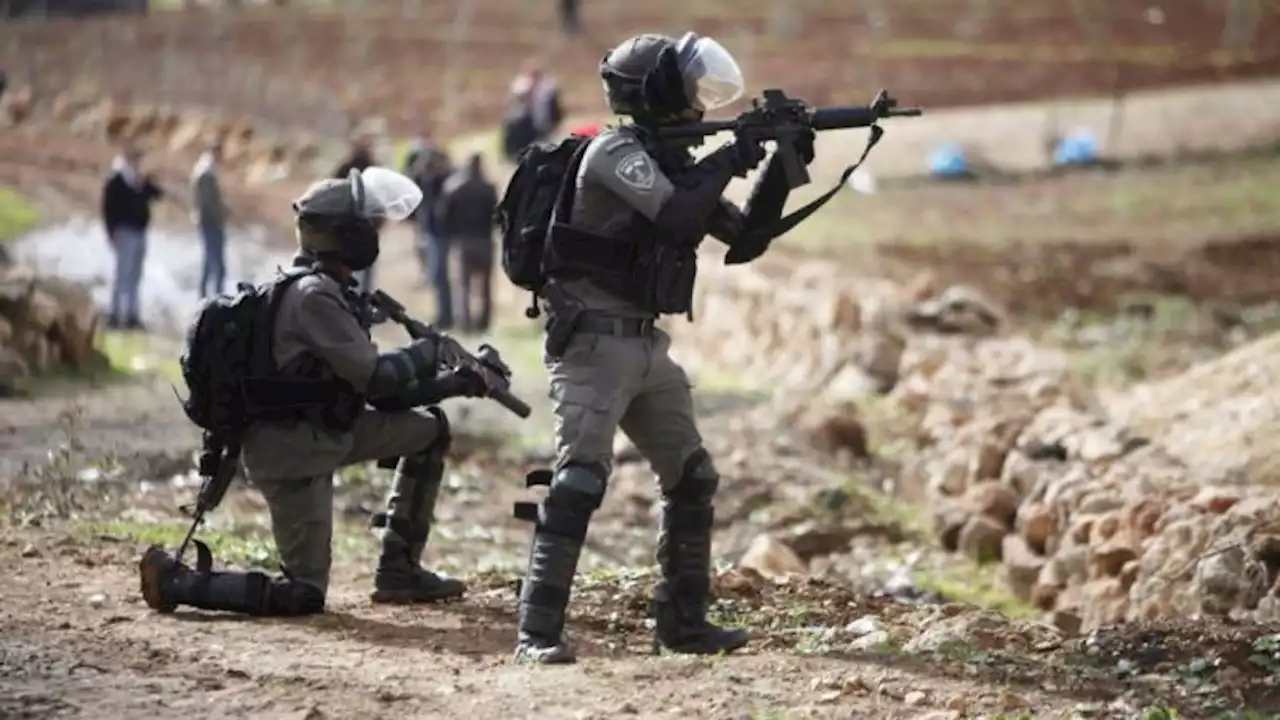 Two Palestinians wounded by Israeli fire in West Bank: ministry