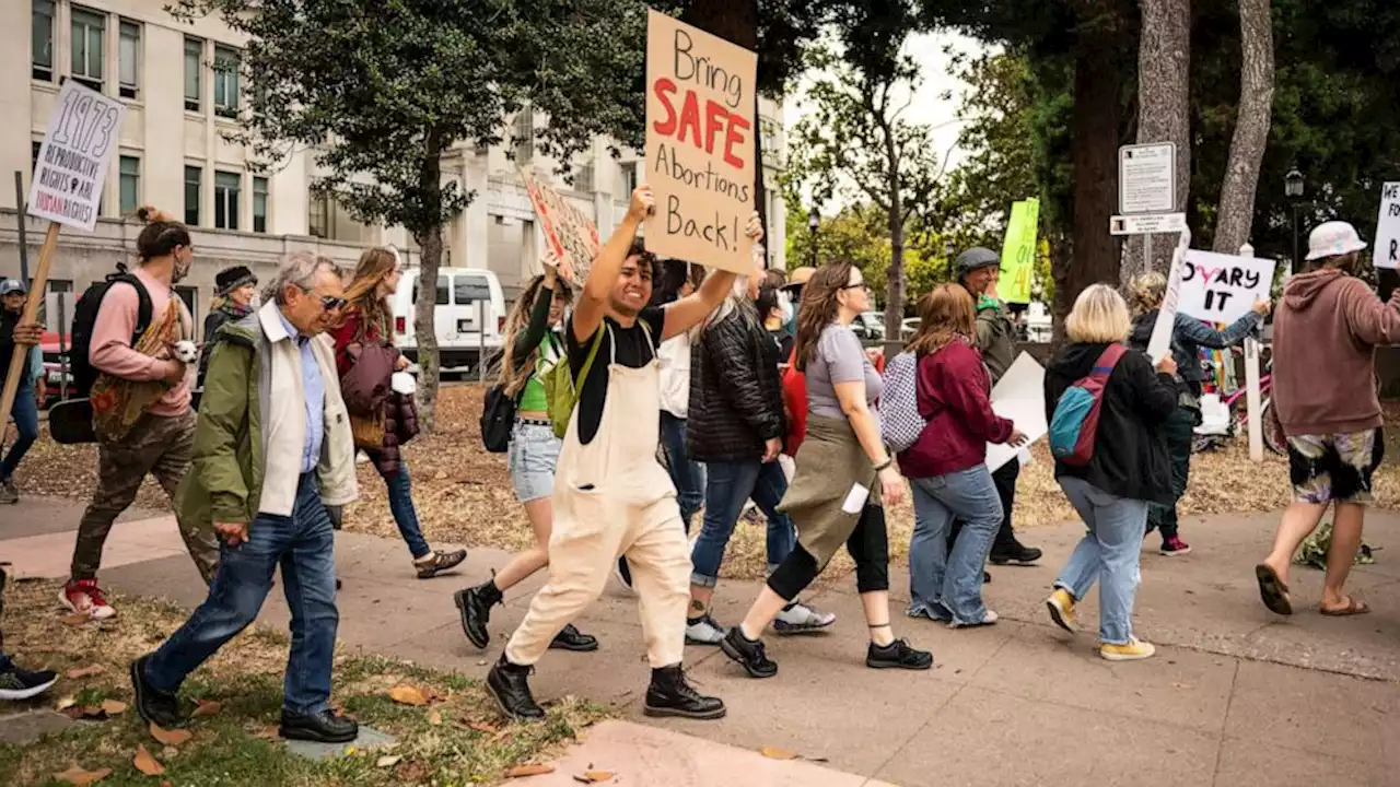 Offering abortion pills on campus could eliminate boundaries to access, students say